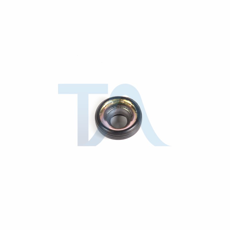 ACC 6013